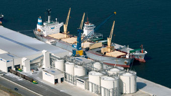 Терминал Sea Tank Terminal в Антверпене (Бельгия)